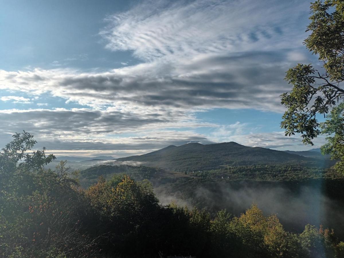 Guesthouse Loncar Plitvicka Jezera Bagian luar foto