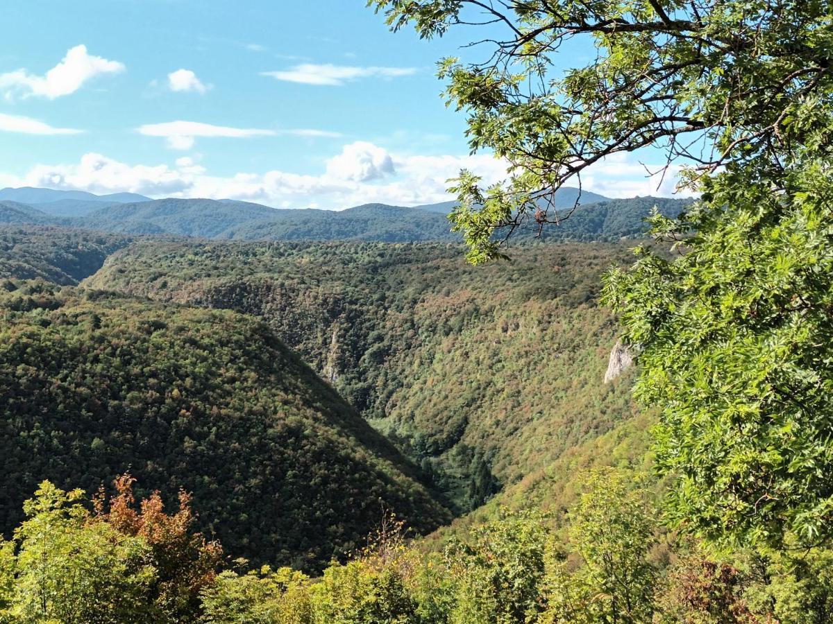Guesthouse Loncar Plitvicka Jezera Bagian luar foto