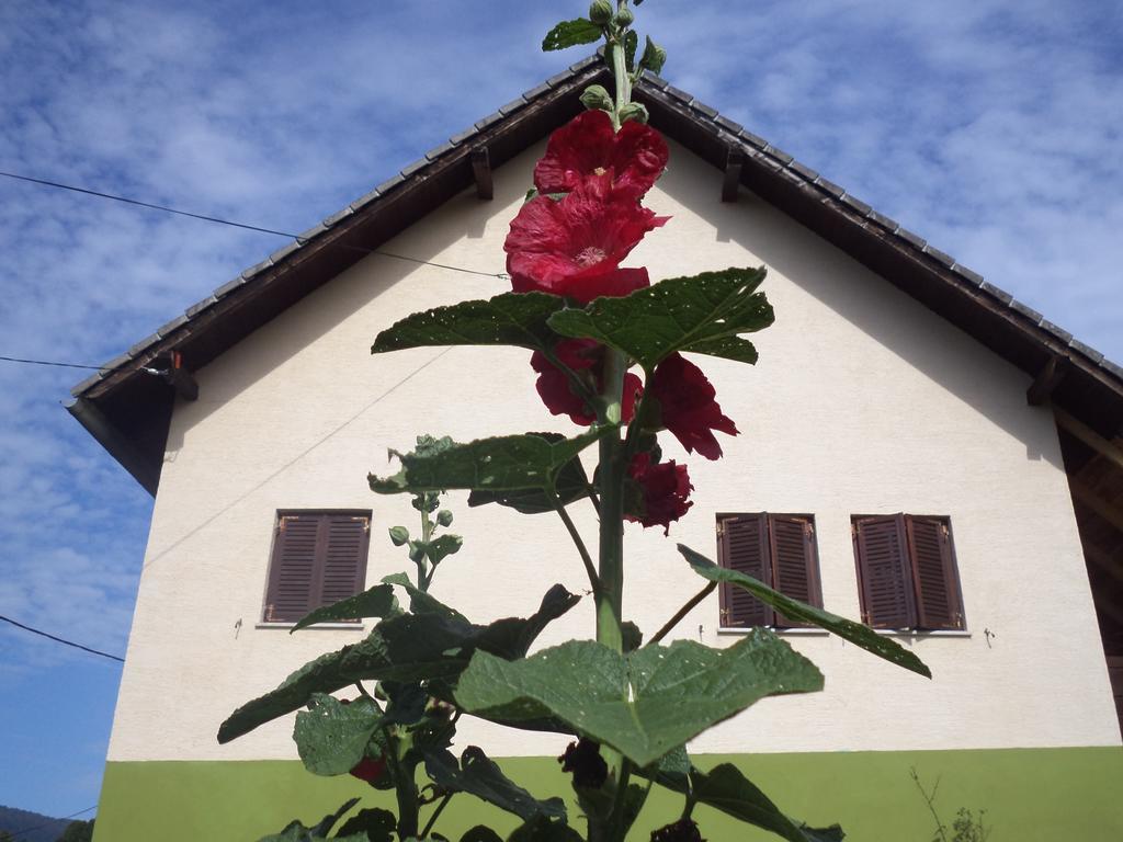 Guesthouse Loncar Plitvicka Jezera Bagian luar foto