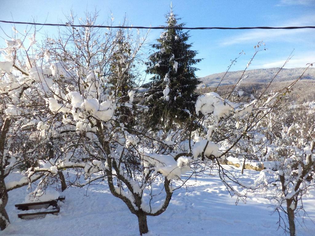 Guesthouse Loncar Plitvicka Jezera Bagian luar foto